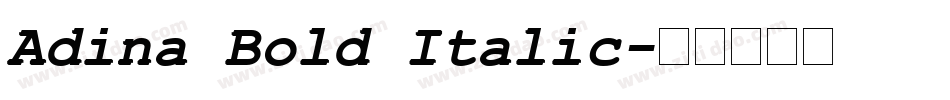 Adina Bold Italic字体转换